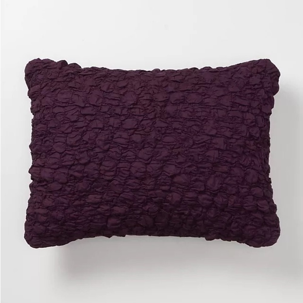 Anthropologie Catalina Euro Shams